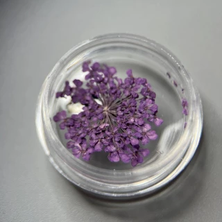 Dried flowers for nail design #9 (purple)