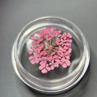 Dried flowers for nail design #1 (soft pink)