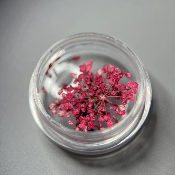 Dried flowers for nail design #6 (fuchsia)