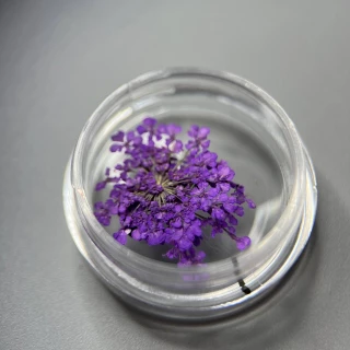 Dried flowers for nail design No. 5 (purple)