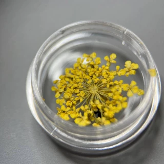 Dried flowers for nail design #3 (yellow)