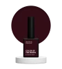 NAILSOFTHEDAY Gel polish LIMITED Une petite Française, 10 ml