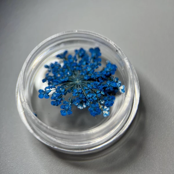 Dried flowers for nail design #12 (blue)