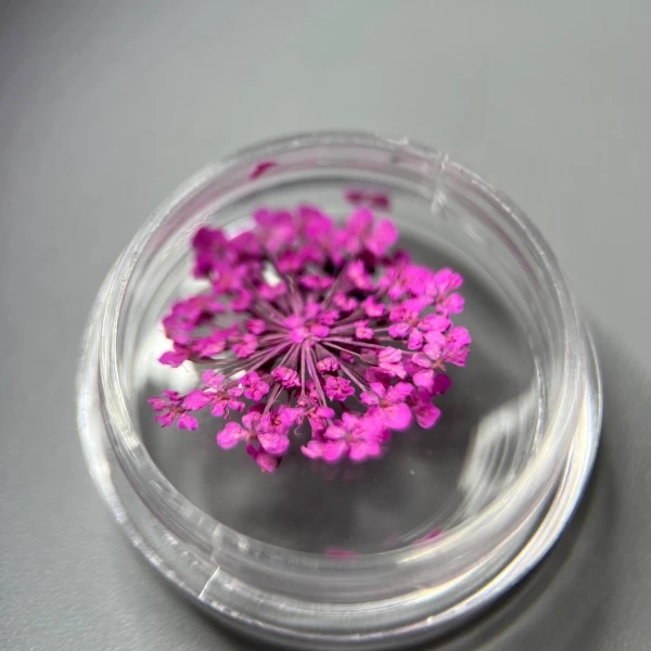 Dried flowers for nail design #10 (pink)