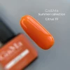 Ga&Ma Summer collection 111 Citrus, 10 ml