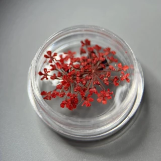 Dried flowers for nail design No. 11 (coral)