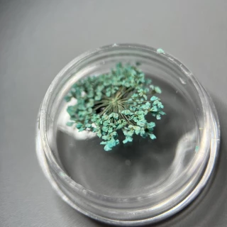 Dried flowers for nail design No. 4 (turquoise)