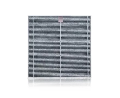 Replaceable carbon HEPA filter CYCLONE X2